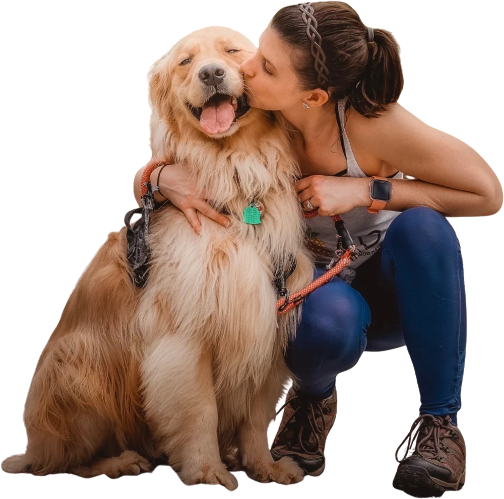 Une personne fait un câlin à son golden retriever